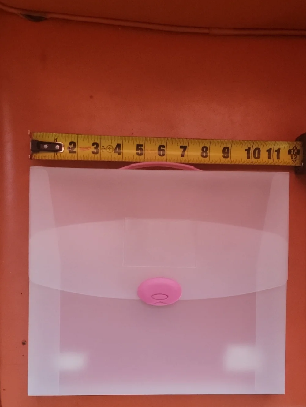 Pink-Accent Clear Plastic Document Organizer